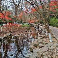 12.22 ��Ϫ ��Ϫ���� �̼�ɽ�� ������ ����·�̲����