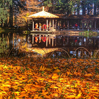 �������