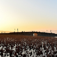 �кɡ�������ϡ�棬��Ӱ��������