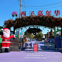 ���Ӽ��껪