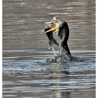 ���ץ��������?ӭ��2026��ĵ�һ��