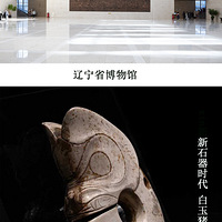 ȥ�й����С��Į�ӣ�����-40��C�ļ���