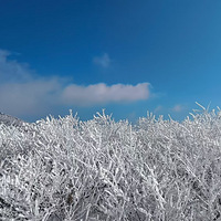 ��ѩ̫�Ӽ⣬200���ﲻ�����