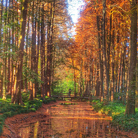 ����ů��