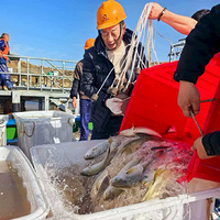 ���˵�ù����㡪��Ʒ�ò���ԭζ���ǡ�����ζ��