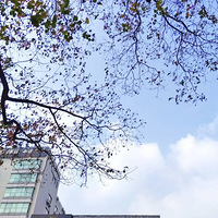 �ֻ�����