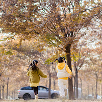 ů���������