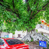 ����ǧ�˰�̬91