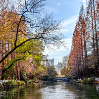 �����Բ�ɫ��쵡�