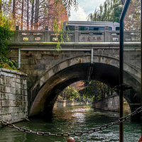 �����ϵ�������ʮ������