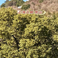 �Ϻ�֮�ߡ���ɽ