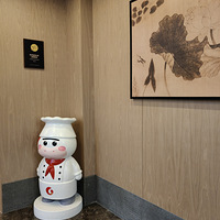 �������ò����ͣ��Ŷ��