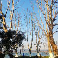 �߹�Ǯ����