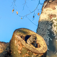 ������԰Ұ��������Ͷι���������ˣ�