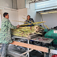 ��2026ɹ�μǡ��������忴���������������ڵ��ǻ�����̫ţ�ˣ�