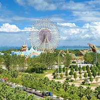 ��ء������Ŷ�