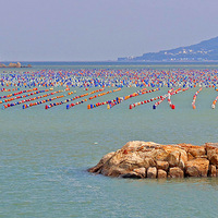 �㶫������-�˴���������Ķ�����ֳ����