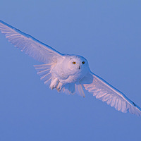 ����30����µı������ݣ�ѩ�^��