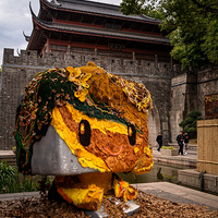 ֻ�ѿ����ļ�¼����