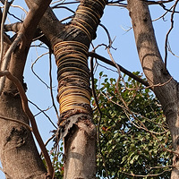 ��ƽ���Ժ����������ý���������ӵ�������