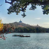 �߹�����