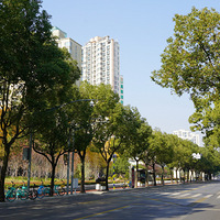 ��Ӱ����2512 ����·����վ