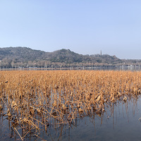 �����š������һ�챻���˴����ů�紺��