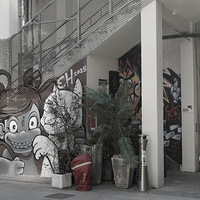 ��Ӱ����2601 M50-�����ͷ�Χ2