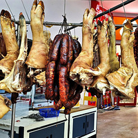 �����������ζ��