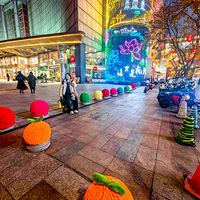 ʯ�մ�ë��  ���������飨1��17��������ɽ·��