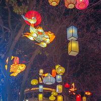 ������ˣ���ɽ·�����ŵƽ�ʣ����ַǷ���������1��17�գ�