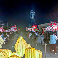 �������ķ�ǲ���չʾ��