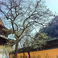 Ѱ÷����£�һ�����ģ��������