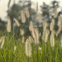 ���µĴ�����ʪ�ع�԰�����������ã�