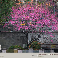 �������ǿ�÷��