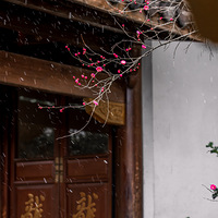 ���󺮡��գ�����ϲӭ��ѩ��