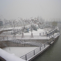 ѩ������