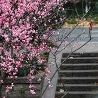 ���߿���