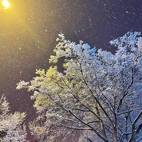 ���������й��¡�Сʱ���ѩ