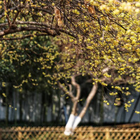 ������÷