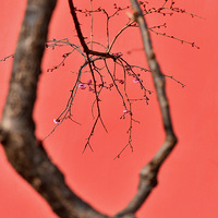 ̽÷�����ٹ���