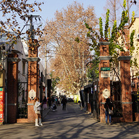 ��Ӱ����2601 ��԰·1088Ū���޼����м�