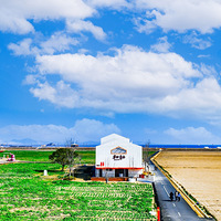 ��ɽ������������壬ɽ��ũ�õĶ����ɽ