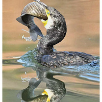 ��ˮ���³�����