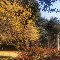 ���۹������÷��