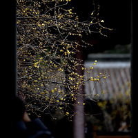 Ǯ������÷��