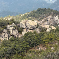 �Ե�����һ���ֺη�