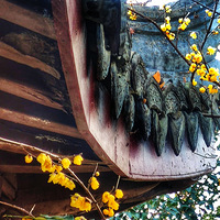 ��ݺ����÷����