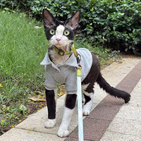 ���ľ�ëè�ܵ�DD�޳�����