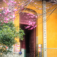 �����·�÷